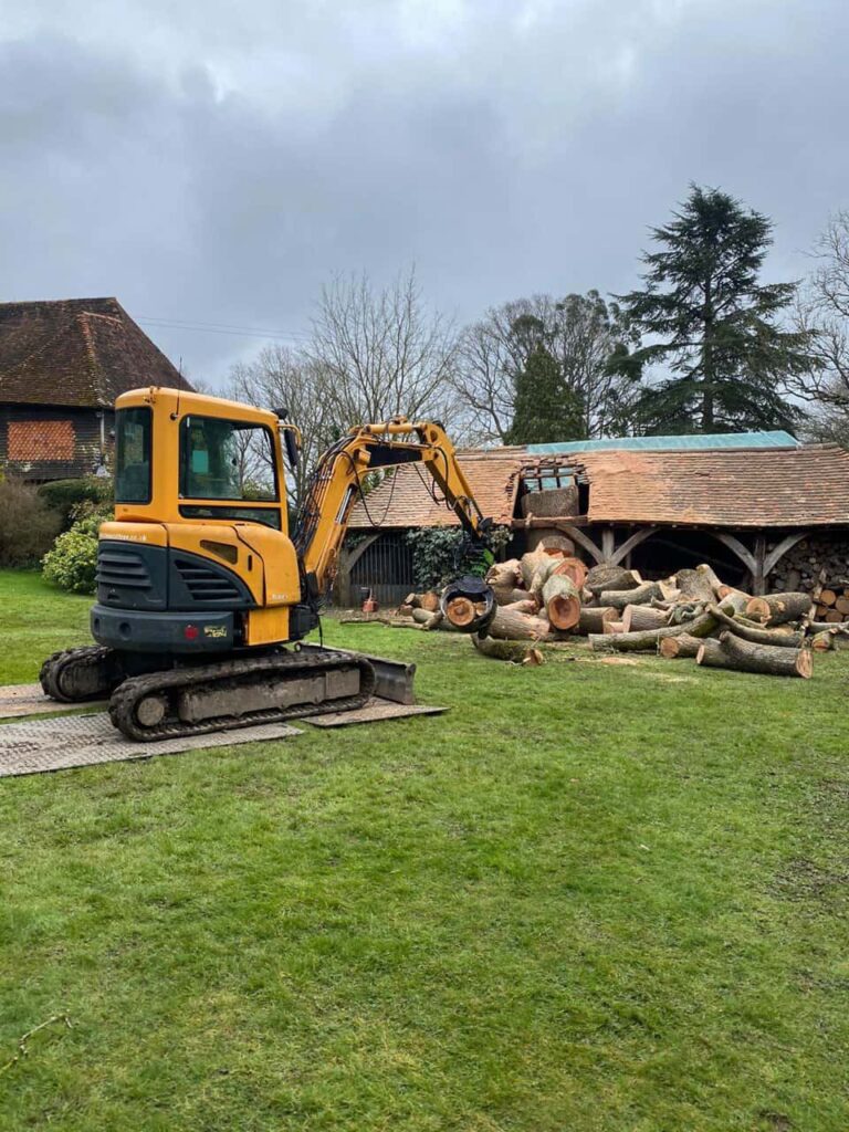 This is a photo of a tree which has grown through the roof of a barn that is being cut down and removed. There is a digger that is removing sections of the tree as well. Giltbrook Tree Surgeons