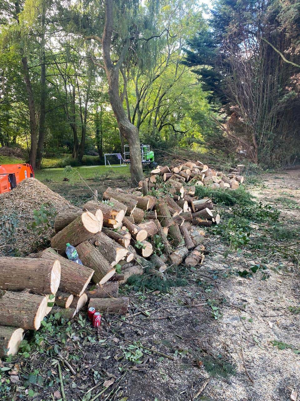 This is a photo of a wood area which is having multiple trees removed. The trees have been cut up into logs and are stacked in a row. Giltbrook Tree Surgeons