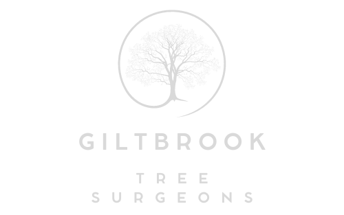 Giltbrook Tree Surgeons